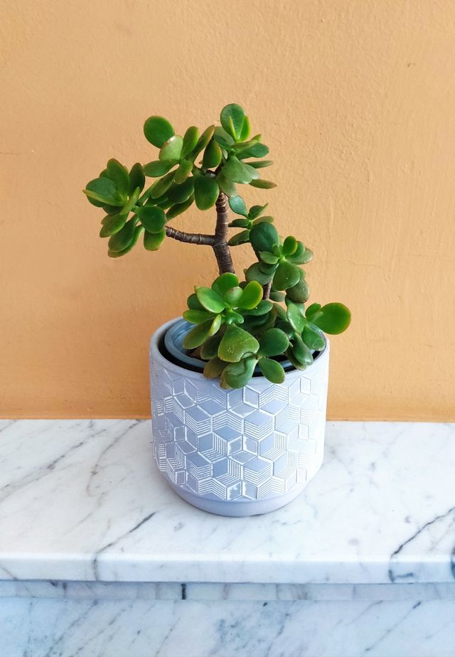 Fioriera/fioriera geometrica grigia - ceramica