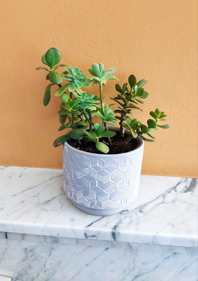 Fioriera/fioriera geometrica grigia - ceramica