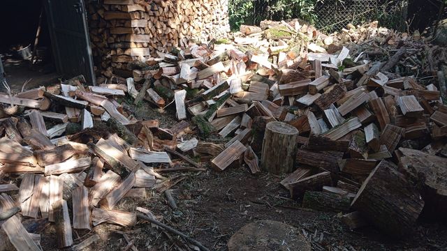 Leña seca para chimenea/ cocina