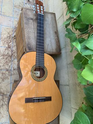 Guitarra clásica Admira Paloma 