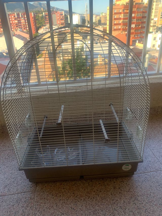 Jaula pajaros - Loros