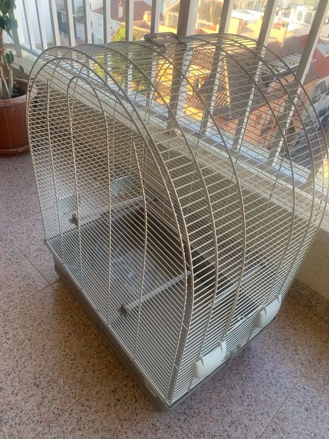 Jaula pajaros - Loros