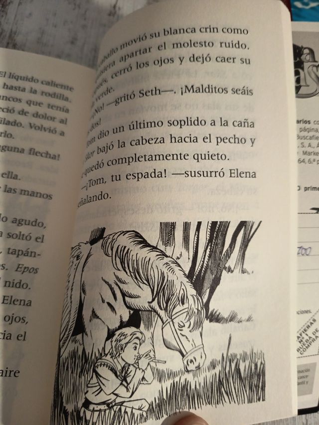 Libro Infantil: Skor, el Caballo Alado