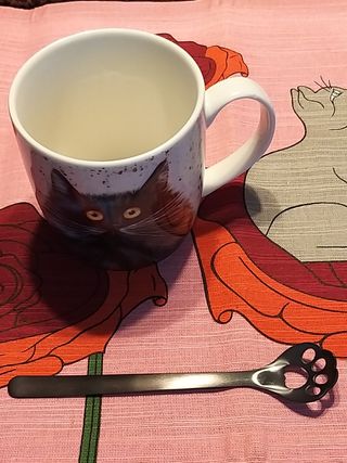 Taza Gato y monederos. Lote