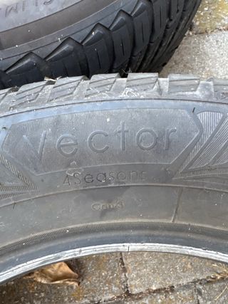 Neumático Goodyear 235/55R17 99H All season 