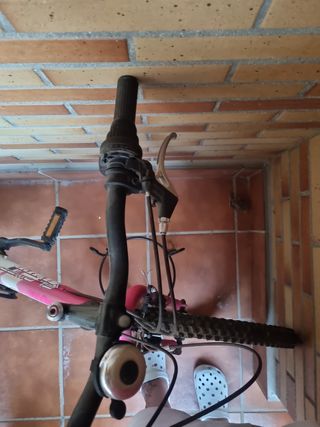 Bicicletta da bambina Flower 24"