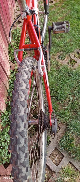 Bicicleta montaña Snake