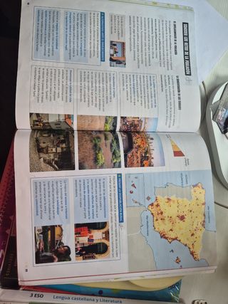 Proyecto: FanFest. Conocimiento del medio 4. Tr...