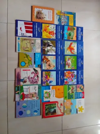 Lote de 20 libros ideales 6-8 años