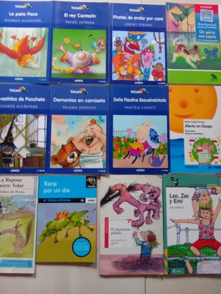 Lote de 20 libros ideales 6-8 años