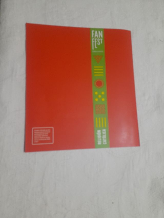 Proyecto: FanFest. Religión católica 6