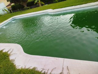 Mantenimiento de jardines y piscinas 