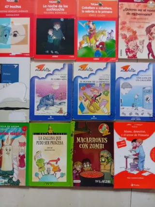 Lote 18 libros lectura ideales 8-11 años