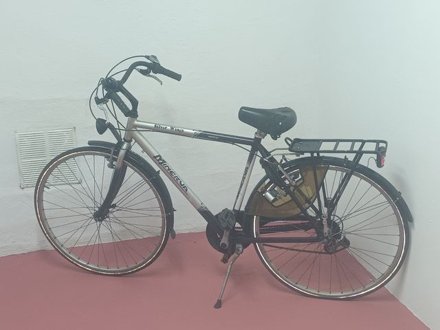 Bicicleta Minerva Silver Wings