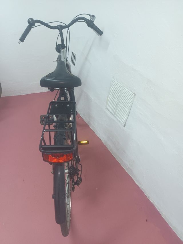 Bicicleta Minerva Silver Wings