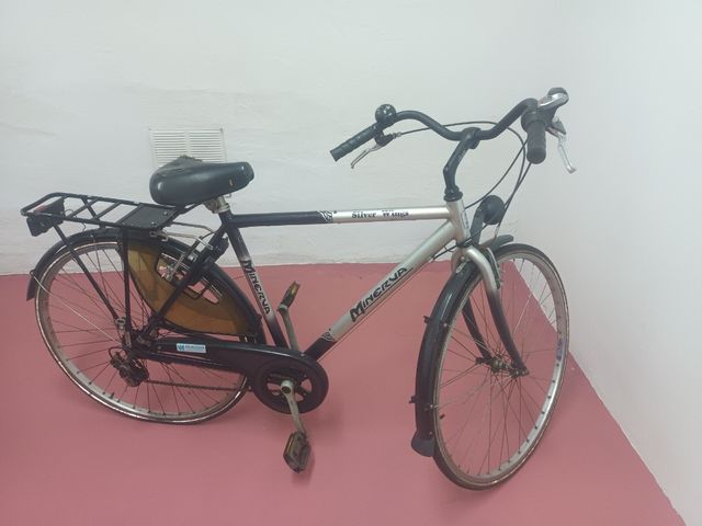 Bicicleta Minerva Silver Wings