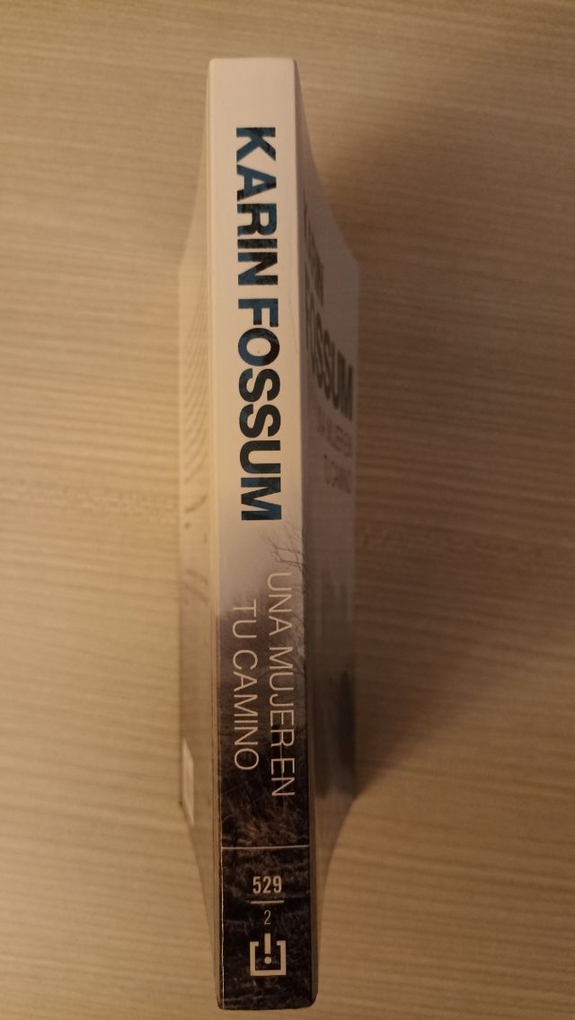 Una mujer en tu camino - Karin Fossum