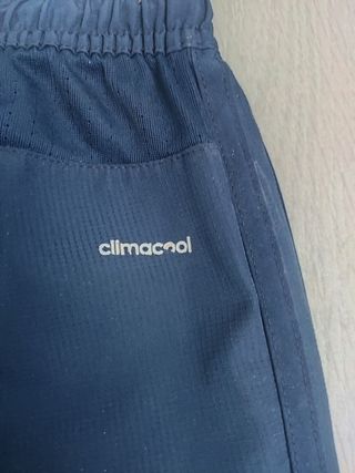 Pantalón corto Real Zaragoza S