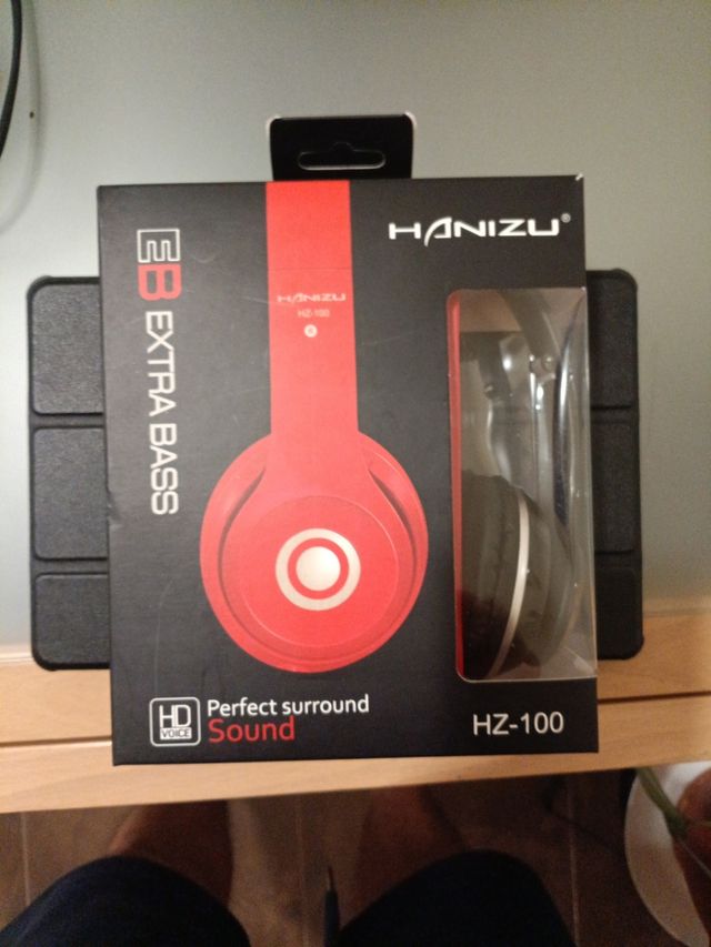 Auriculares Hanizu HZ-100