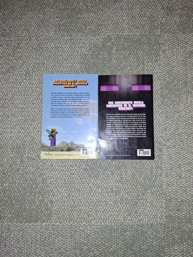 Libros Minecraft