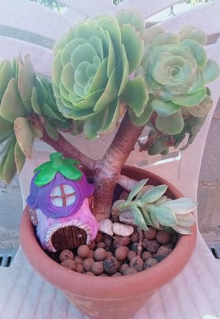 Figuras decorativas jardín 3D gnomo- casita hadas