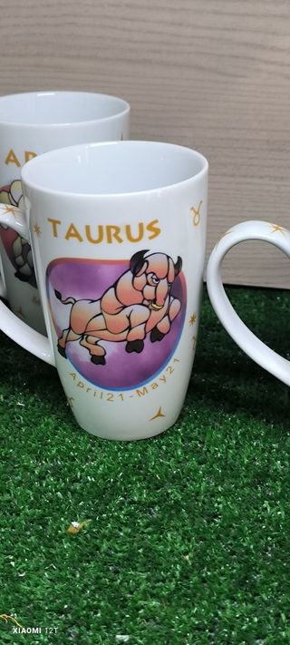6 Tazze Porcellana - Segni Zodiacali
