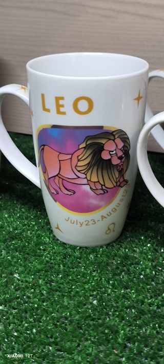 6 Tazze Porcellana - Segni Zodiacali
