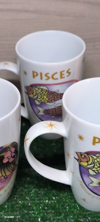 6 Tazze Porcellana - Segni Zodiacali
