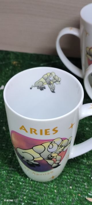 6 Tazze Porcellana - Segni Zodiacali
