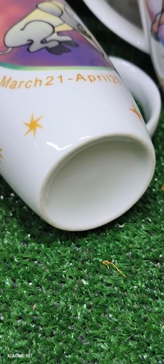 6 Tazze Porcellana - Segni Zodiacali
