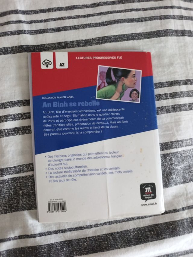 LES BLOGUEURS 4 A2.2 LIVRE (EPACK)