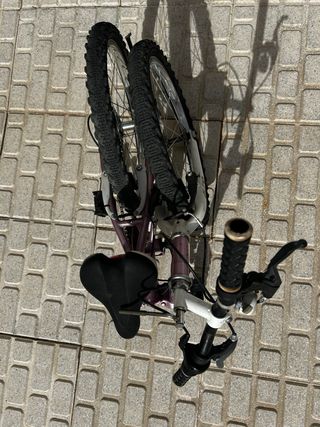 Bicicleta 20" plegable