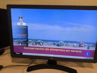 Smart TV LG 24TN510S-PZ Televisor