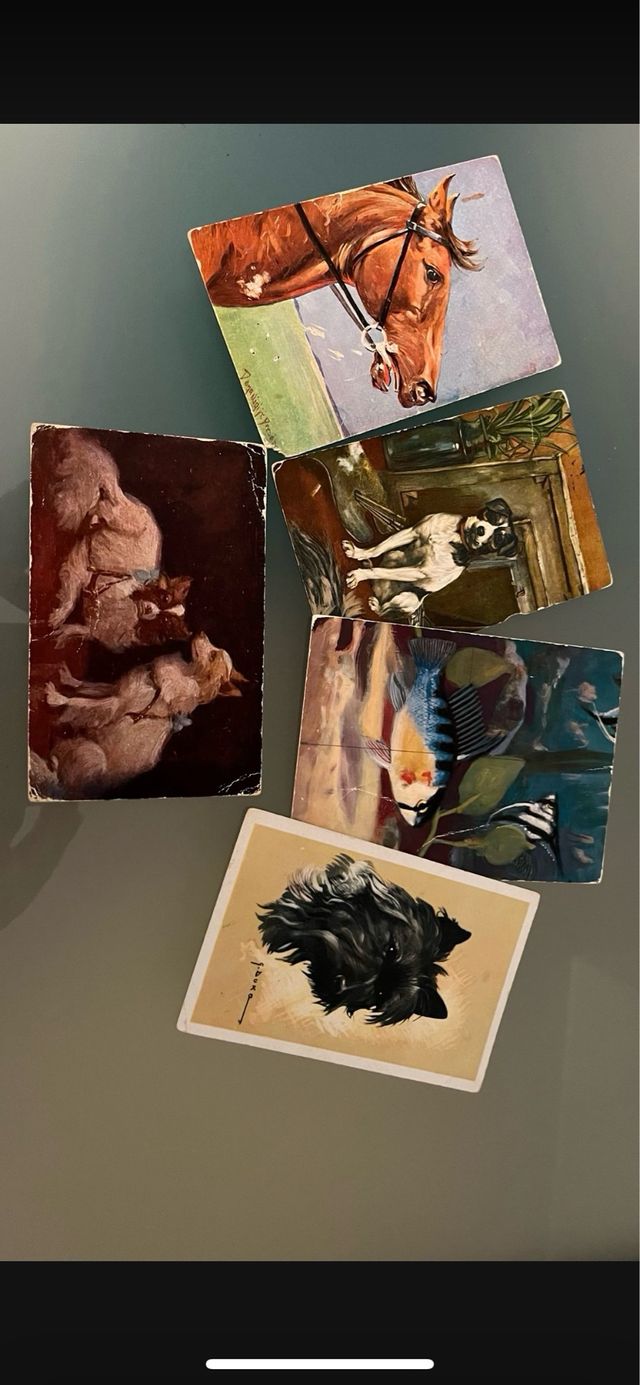 Cartoline d'epoca: 17 soggetti vari