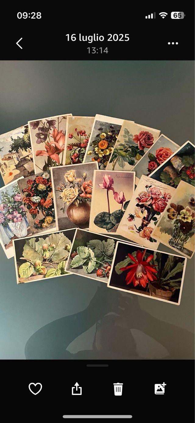 Cartoline d'epoca: 17 soggetti vari