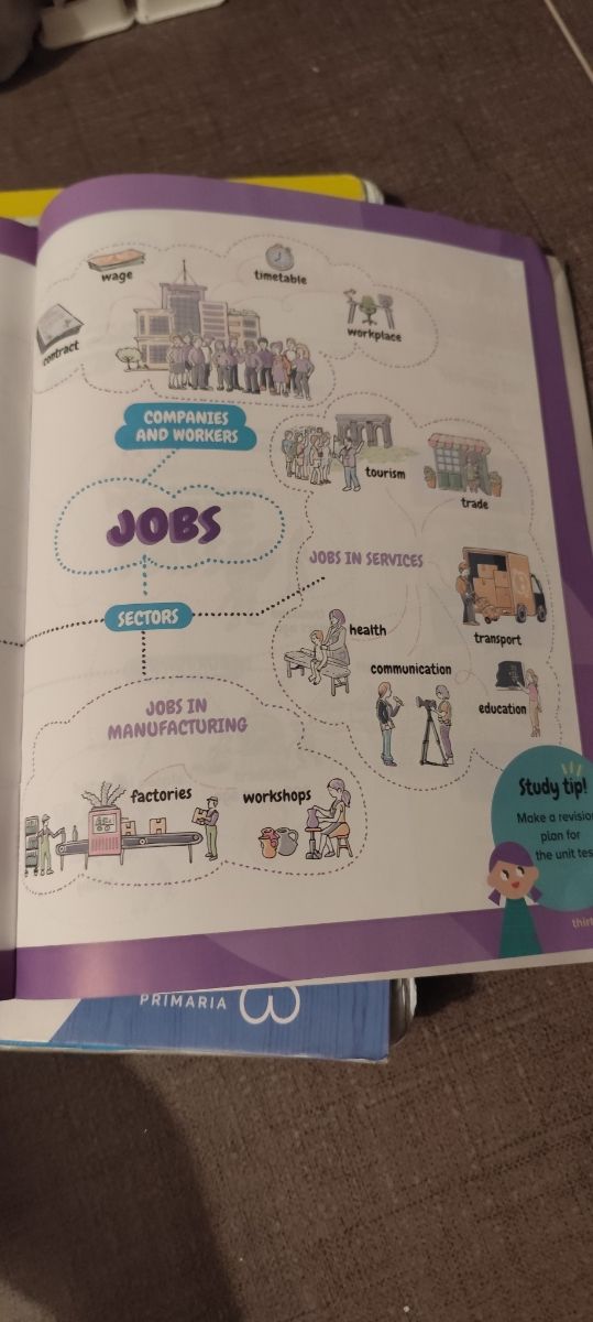 Social Sciencies My visual book