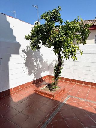 Casa adosada en alquiler en Gines