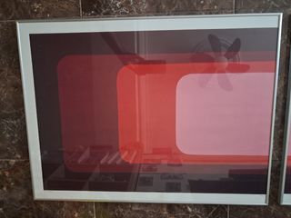 2 Láminas Decorativas - Rojo y Rosa