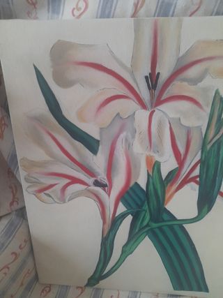 2 Quadri ad olio su tela