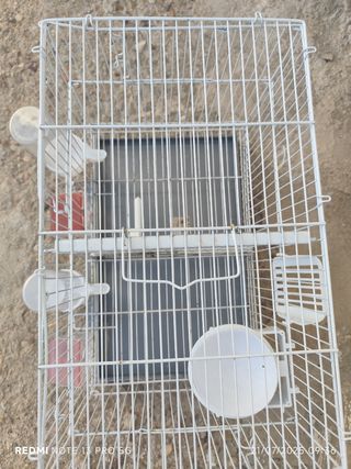 Jaulas canarios blancas
