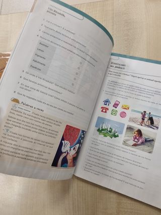 Lingua 5.