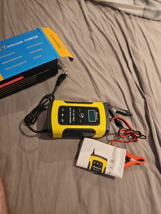 Cargador Inteligente 12V-6A