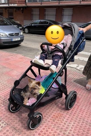 Cybex Gazelle S gemelar