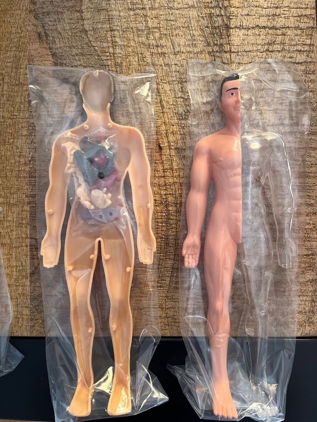 Juego El Cuerpo Humano -Ciencia