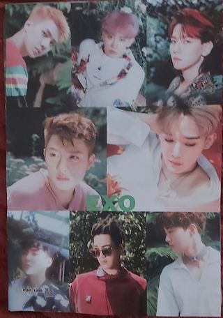 Póster EXO Kpop
