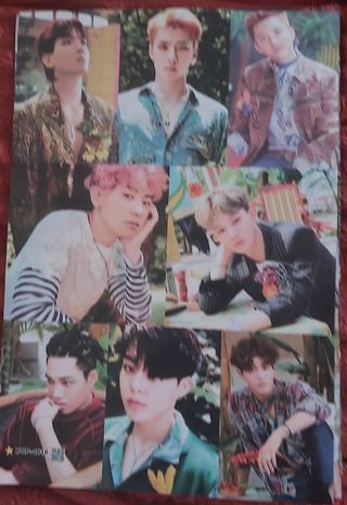 Póster Kpop EXO