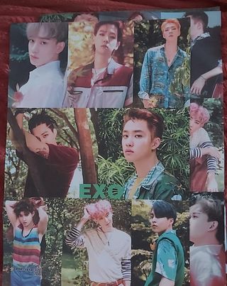Póster EXO Kpop - 12 miembros
