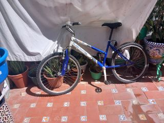 Bicicleta Globe Trotter Infantil