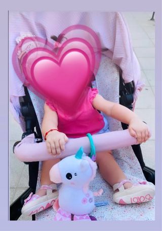 Sacos carro Bugaboo, Jane u otros Rosy Fuentes