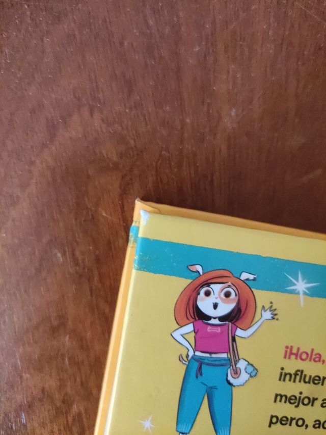 Beniamina Wood 2. Un concurso muy confuso